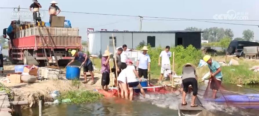 各地多措并举保障“菜篮子”量足价稳“鲜”到餐桌(图4)