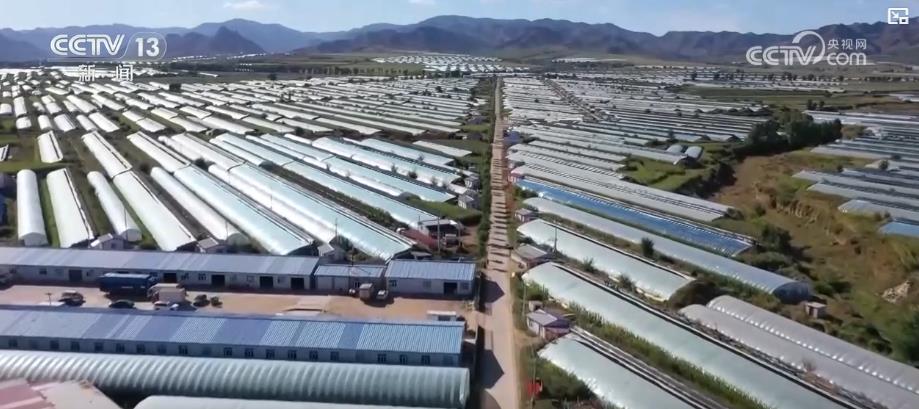 各地多措并举保障“菜篮子”量足价稳“鲜”到餐桌(图5)