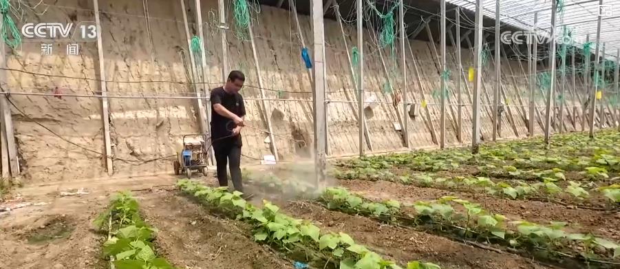 各地多措并举保障“菜篮子”量足价稳“鲜”到餐桌(图3)