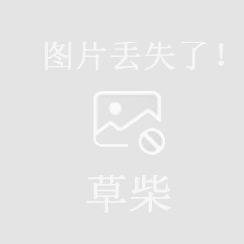 轻奢餐椅家用2024新款高级感休闲靠背椅子酒店接待洽谈桌椅宾利椅(图1)