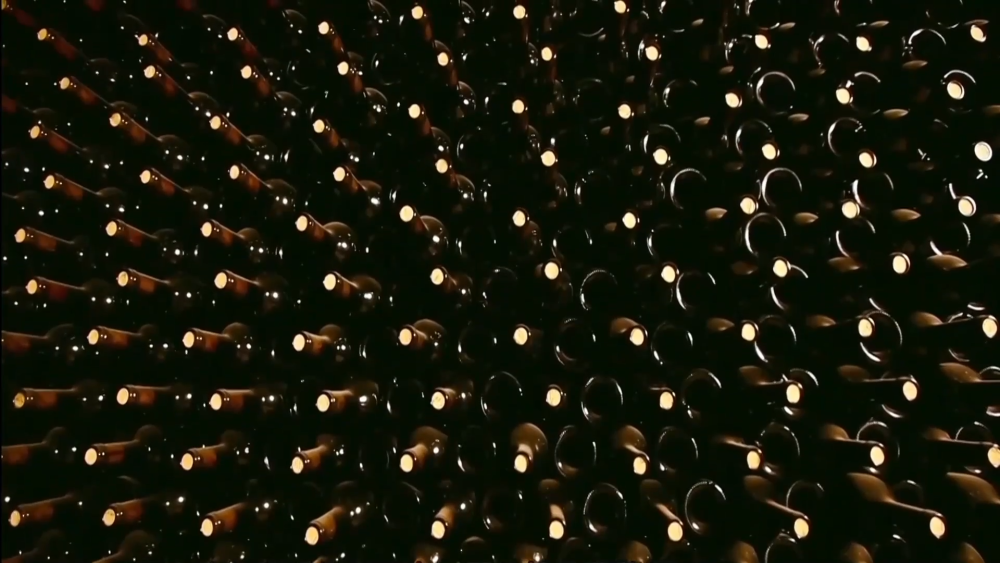 kaiyun体育网页版Vlog：宁夏葡萄的多彩之旅——餐桌酒韵悠(图3)