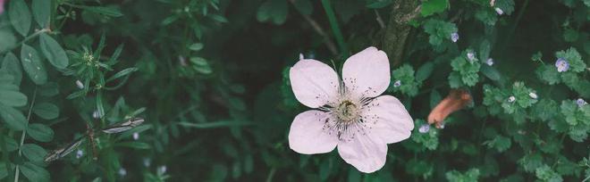 潮流趋势2024年厨房设计趋势(图5)