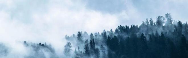 潮流趋势2024年厨房设计趋势(图9)