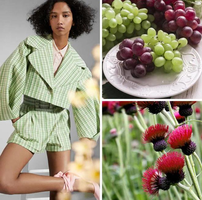 潮流趋势2024年7大厨房趋势让人尽情kaiyun体育网页版享受生活的乐趣(图9)