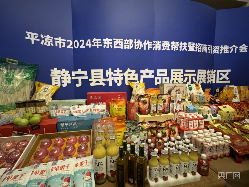 平凉市2024年东西部协作消费帮扶推介暨招商引资会在津举办(图1)