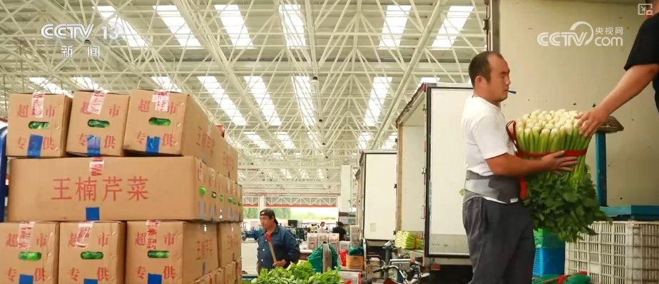 加大调货、预冷储藏运输百姓夏日餐桌新鲜蔬菜供应有基础(图6)