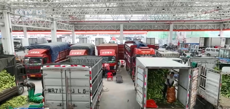 加大调货、预冷储藏运输百姓夏日餐桌新鲜蔬菜供应有基础(图5)