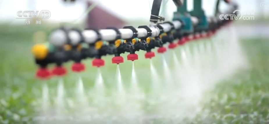 加大调货、预冷储藏运输百姓夏日餐桌新鲜蔬菜供应有基础(图14)