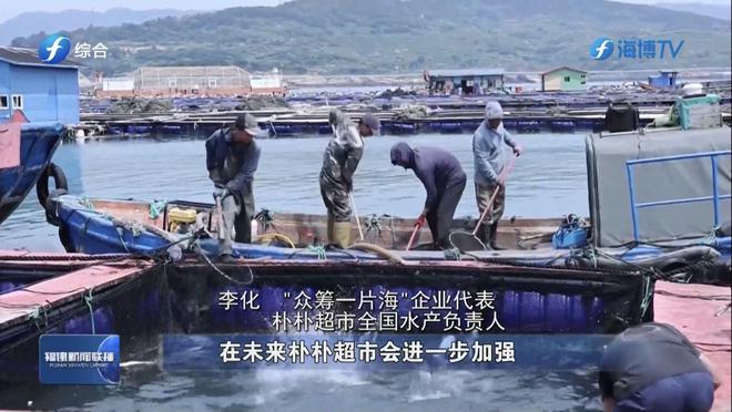 连江开渔啰！朴朴超市让海鲜“从大海直达餐桌”(图6)