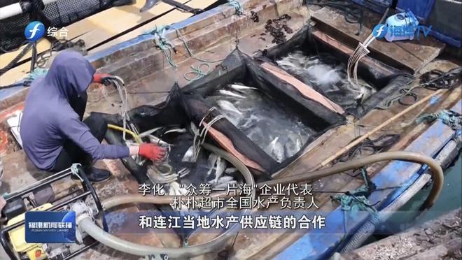 连江开渔啰！朴朴超市让海鲜“从大海直达餐桌”(图7)