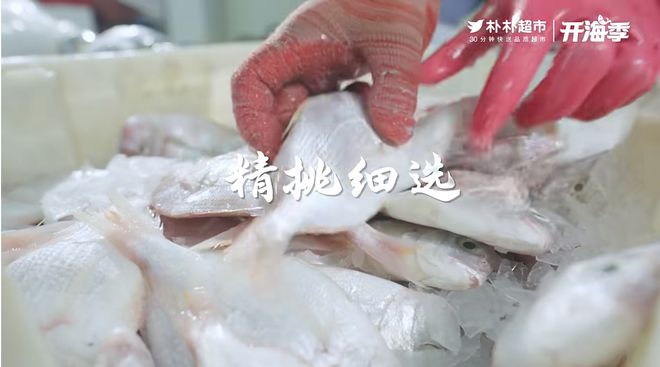 连江开渔啰！朴朴超市让海鲜“从大海直达餐桌”(图9)