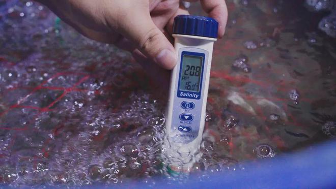 连江开渔啰！朴朴超市让海鲜“从大海直达餐桌”(图11)