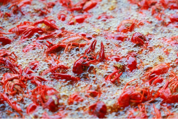 蚌埠小龙虾进军长三角从地方特色到全国“餐桌”(图1)