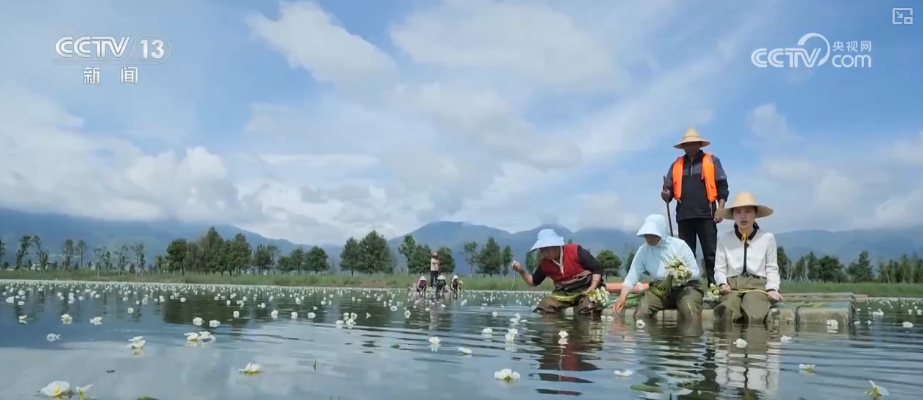 高质量发展调研行“颜值”变“产值”打造“风景生产力”(图3)