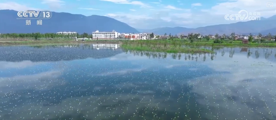 高质量发展调研行“颜值”变“产值”打造“风景生产力”(图5)