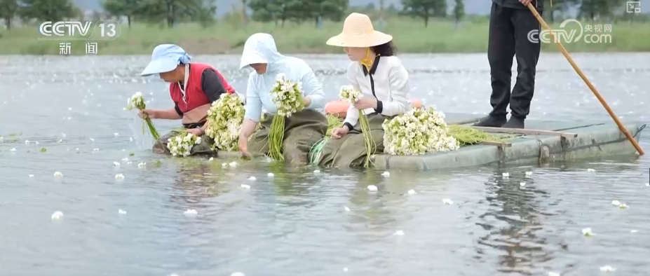 高质量发展调研行“颜值”变“产值”打造“风景生产力”(图4)