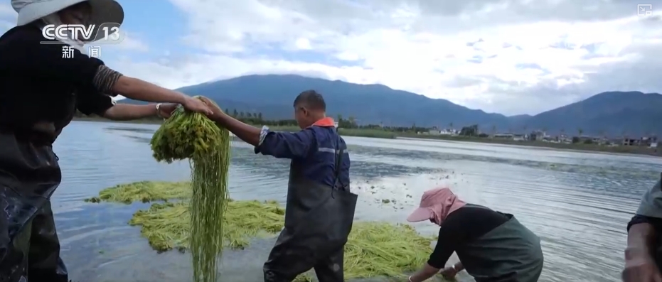 高质量发展调研行“颜值”变“产值”打造“风景生产力”(图7)