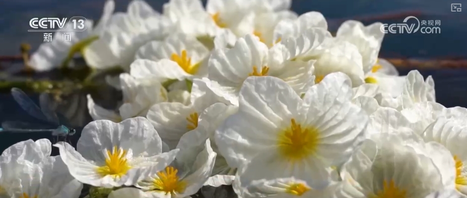 高质量发展调研行“颜值”变“产值”打造“风景生产力”(图1)