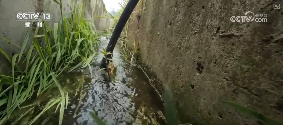 高质量发展调研行“颜值”变“产值”打造“风景生产力”(图11)