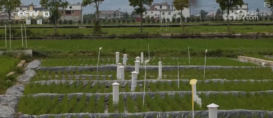 高质量发展调研行“颜值”变“产值”打造“风景生产力”(图12)