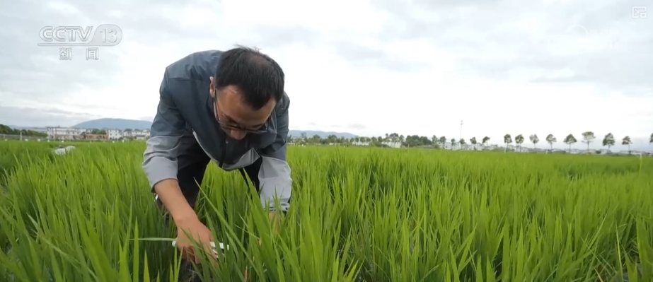 高质量发展调研行“颜值”变“产值”打造“风景生产力”(图10)