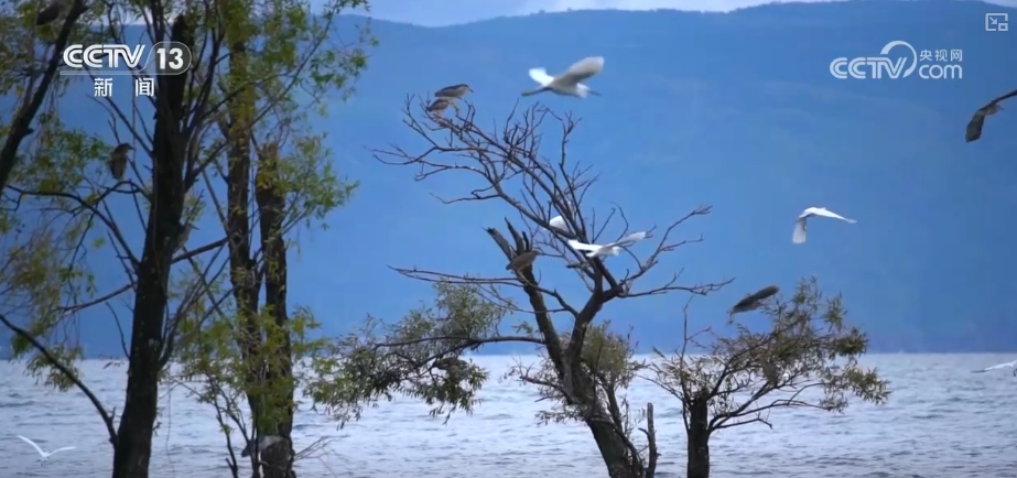 高质量发展调研行“颜值”变“产值”打造“风景生产力”(图30)
