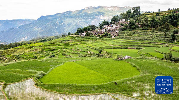 舌尖相通中国与东盟餐桌上的互惠故事(图2)