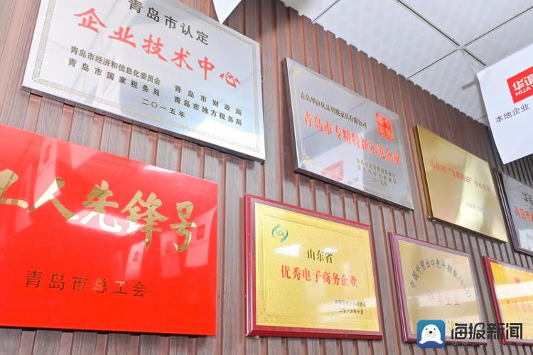 开云体育逐梦前行十七年！“解锁”华谊家具稳中求进的商业“密码”……(图3)