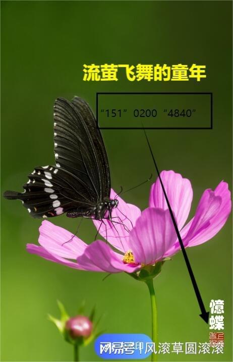 古堡家具有限公司(图3)