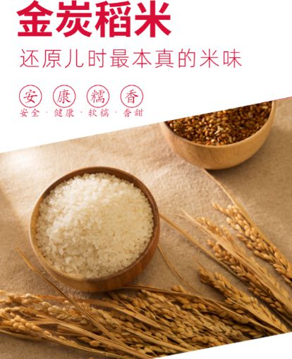 圣淳大米：科技赋能全产业链布局守护餐桌安全(图3)