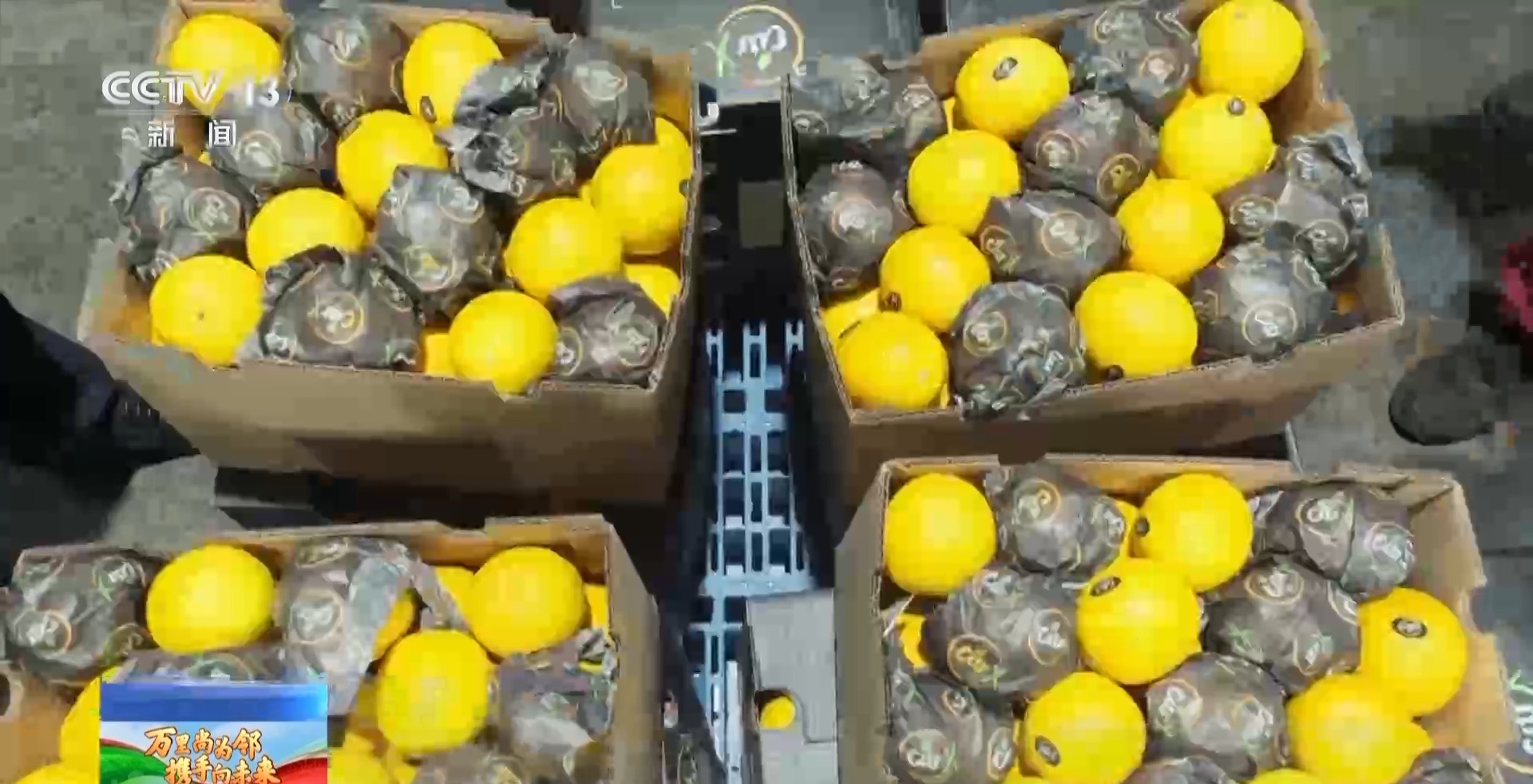 漂洋过海的甜蜜！非洲水果走上中国消费者餐桌开云体育(图2)