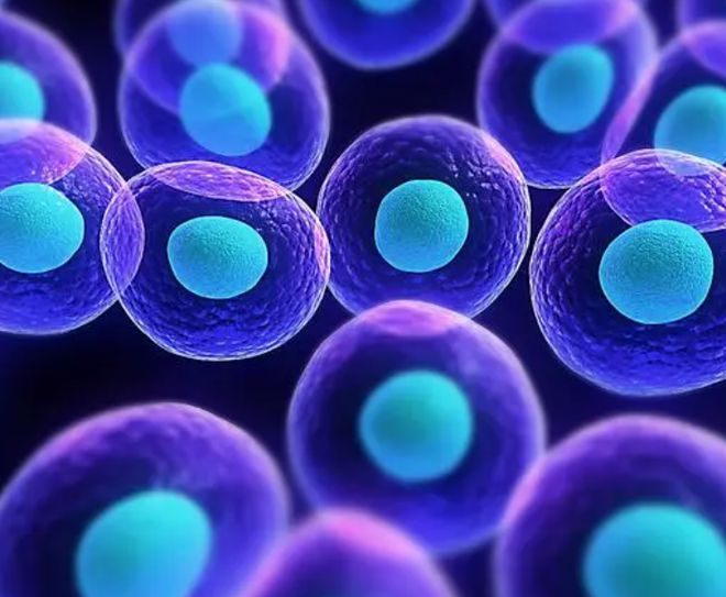 全球约一半肝癌在中国再次kaiyun体育全站提醒：家中的3种食物尽早撤下餐桌(图3)