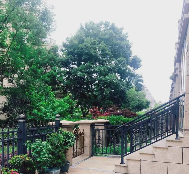 kaiyun体育全站花漫九里2024网站-太仓花漫九里楼盘电话详情-太仓房天下(图5)