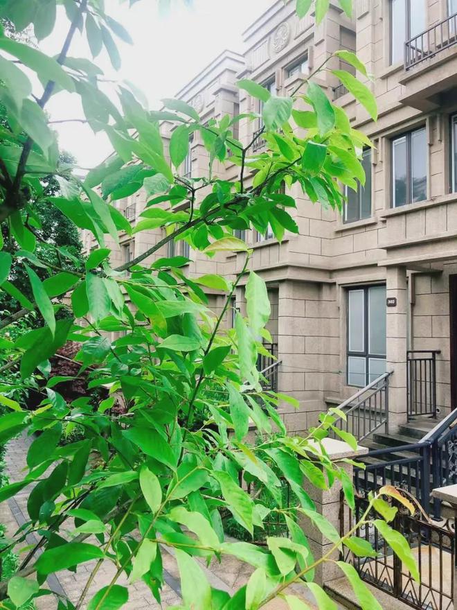 kaiyun体育全站花漫九里2024网站-太仓花漫九里楼盘电话详情-太仓房天下(图6)