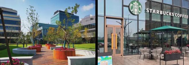 宝山天铂欢迎您-楼盘详情-电话-价格-户型-配套(图9)