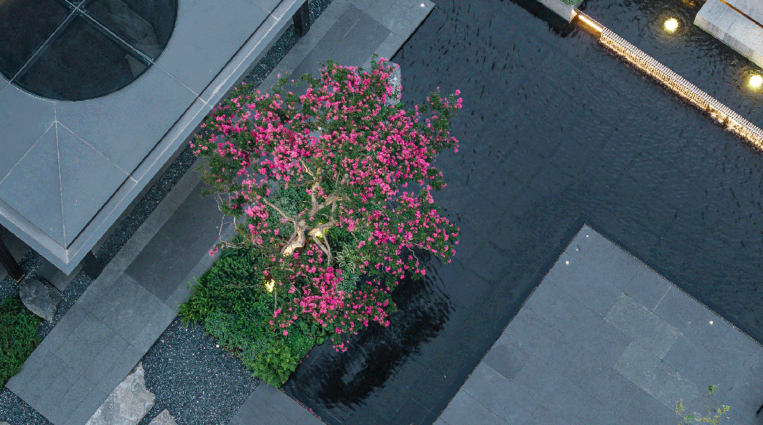 保利海上瑧悦2024网站·保利海上瑧悦楼盘详情-上海房天下(图16)