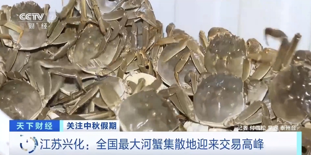 kaiyun体育网页版全国最大河蟹集散地迎交易高峰！日均交易量超千吨美味上餐桌→(图3)