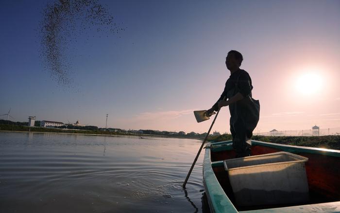 蟹状元：传承国人蟹文化守护餐桌上的“中国味儿”(图4)