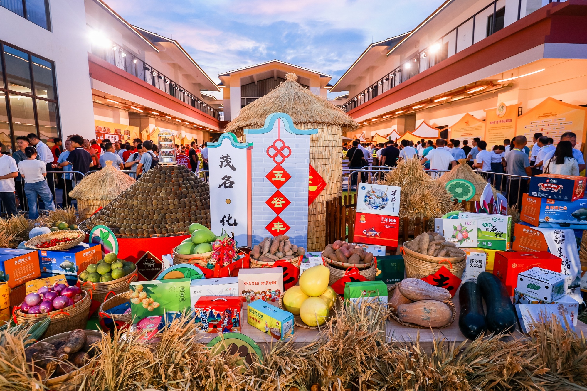 kaiyun体育全站农民节日农民办！2024年“中国丰收节”广东省主会场活动在化州举行(图2)