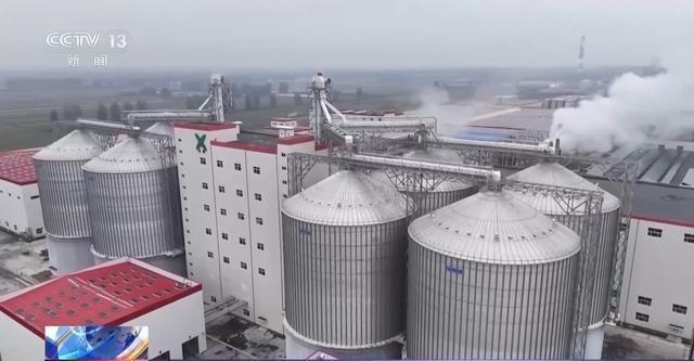 玉米丰收背后的产业链有多长从田间到餐桌的蜕变(图2)