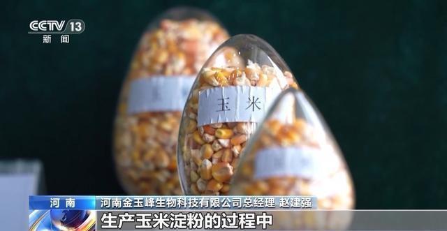 玉米丰收背后的产业链有多长从田间到餐桌的蜕变(图3)