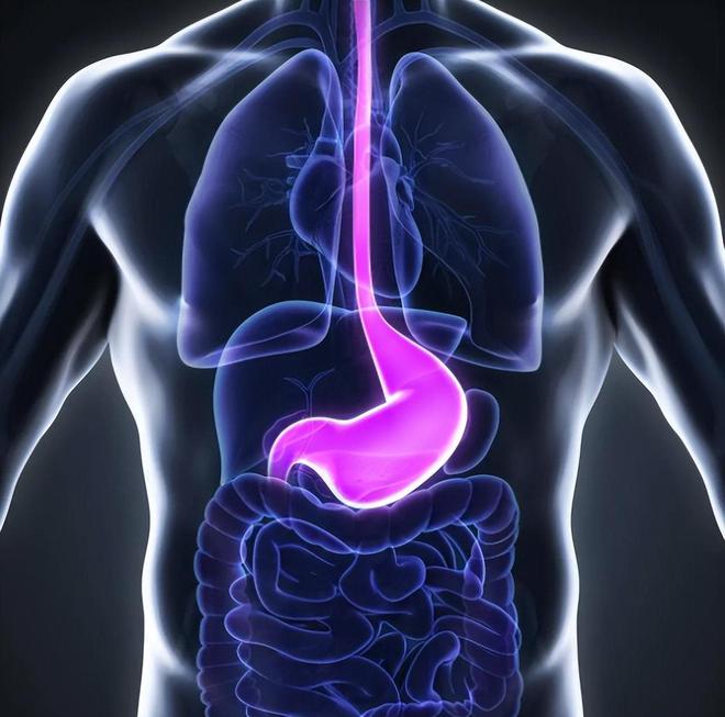 被列为2A级的致癌物竟每天开云体育都在餐桌上如何降低饮食风险？(图4)
