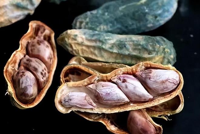 被列为2A级的致癌物竟每天开云体育都在餐桌上如何降低饮食风险？(图11)