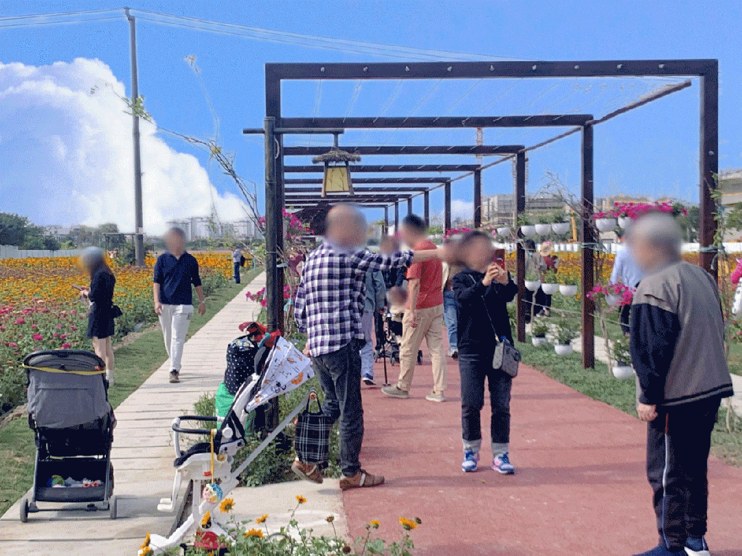 尚湾林语（2024年尚湾林语）网站-楼盘详情-户型配套开云体育(图16)