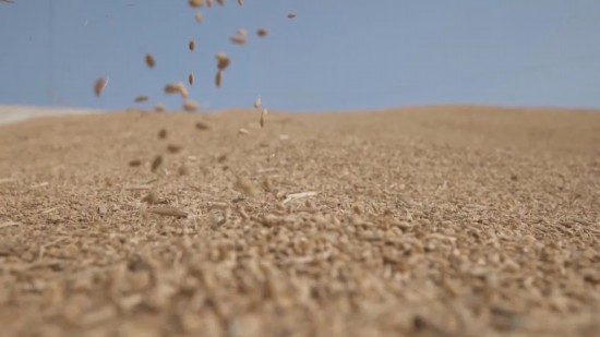 又是一年丰收季长三角特色农产品从田间到餐桌(图8)