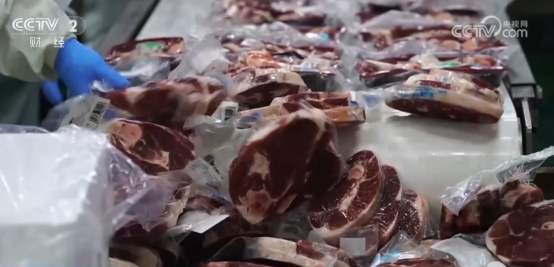 驱“碱”化“盐”让戈壁滩成为饲草基地“柴达木盐羊”走上亚运餐桌(图1)