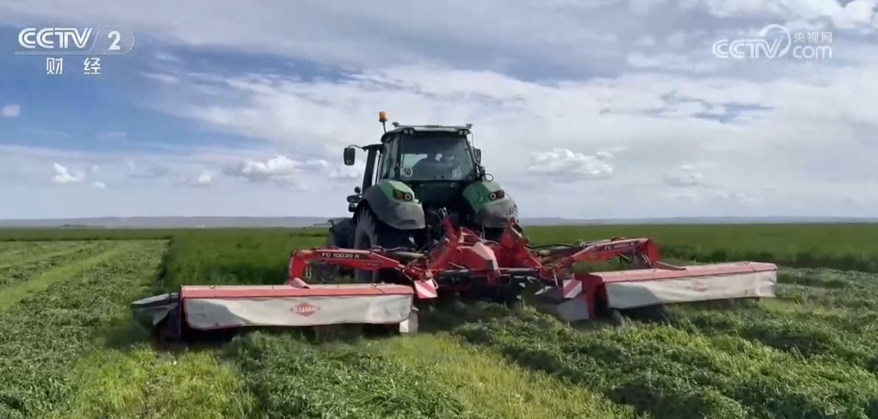 驱“碱”化“盐”让戈壁滩成为饲草基地“柴达木盐羊”走上亚运餐桌(图4)