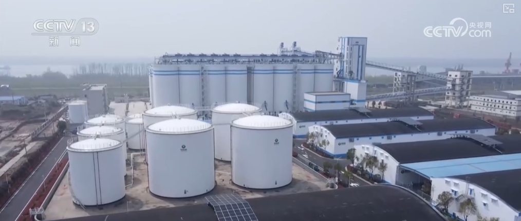 夏粮入仓有底气端好“中国饭碗”！更多优质粮食供给百姓餐桌(图6)