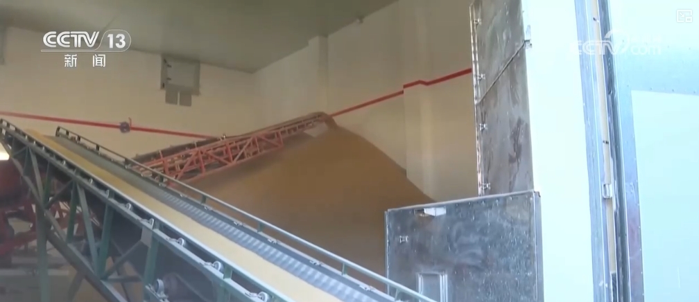 夏粮入仓有底气端好“中国饭碗”！更多优质粮食供给百姓餐桌(图4)