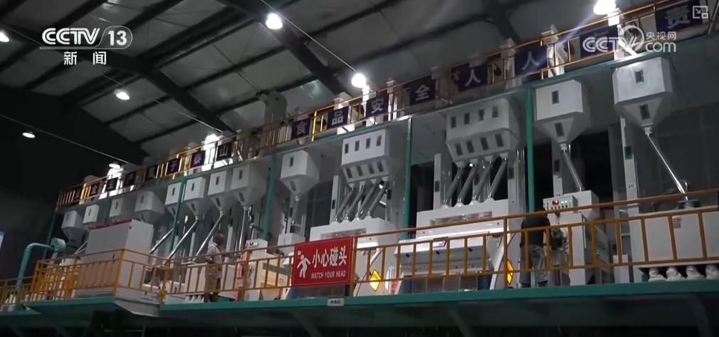 夏粮入仓有底气端好“中国饭碗”！更多优质粮食供给百姓餐桌(图3)